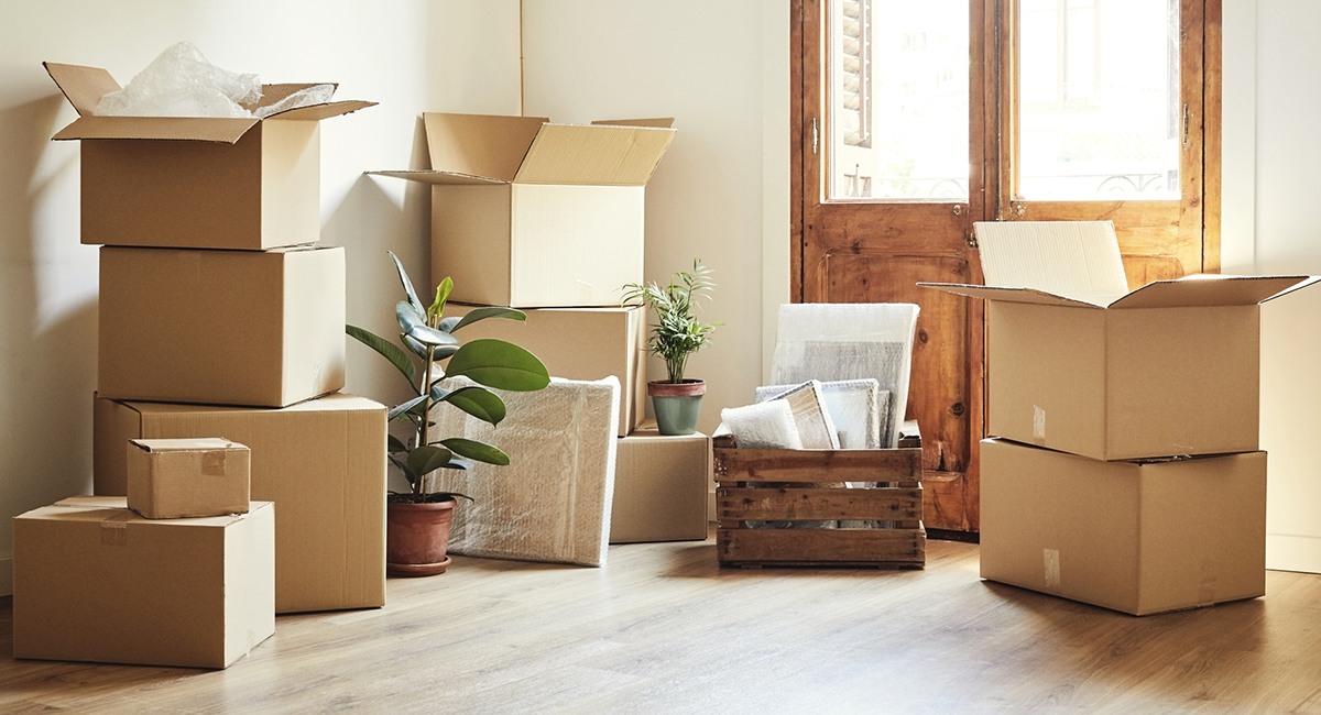 After All, We Moved